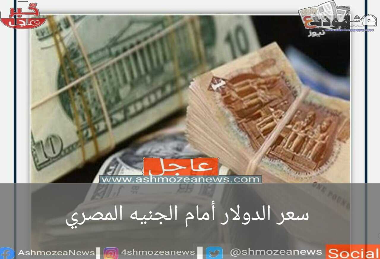 سعر الدولار أمام الجنيه المصري.