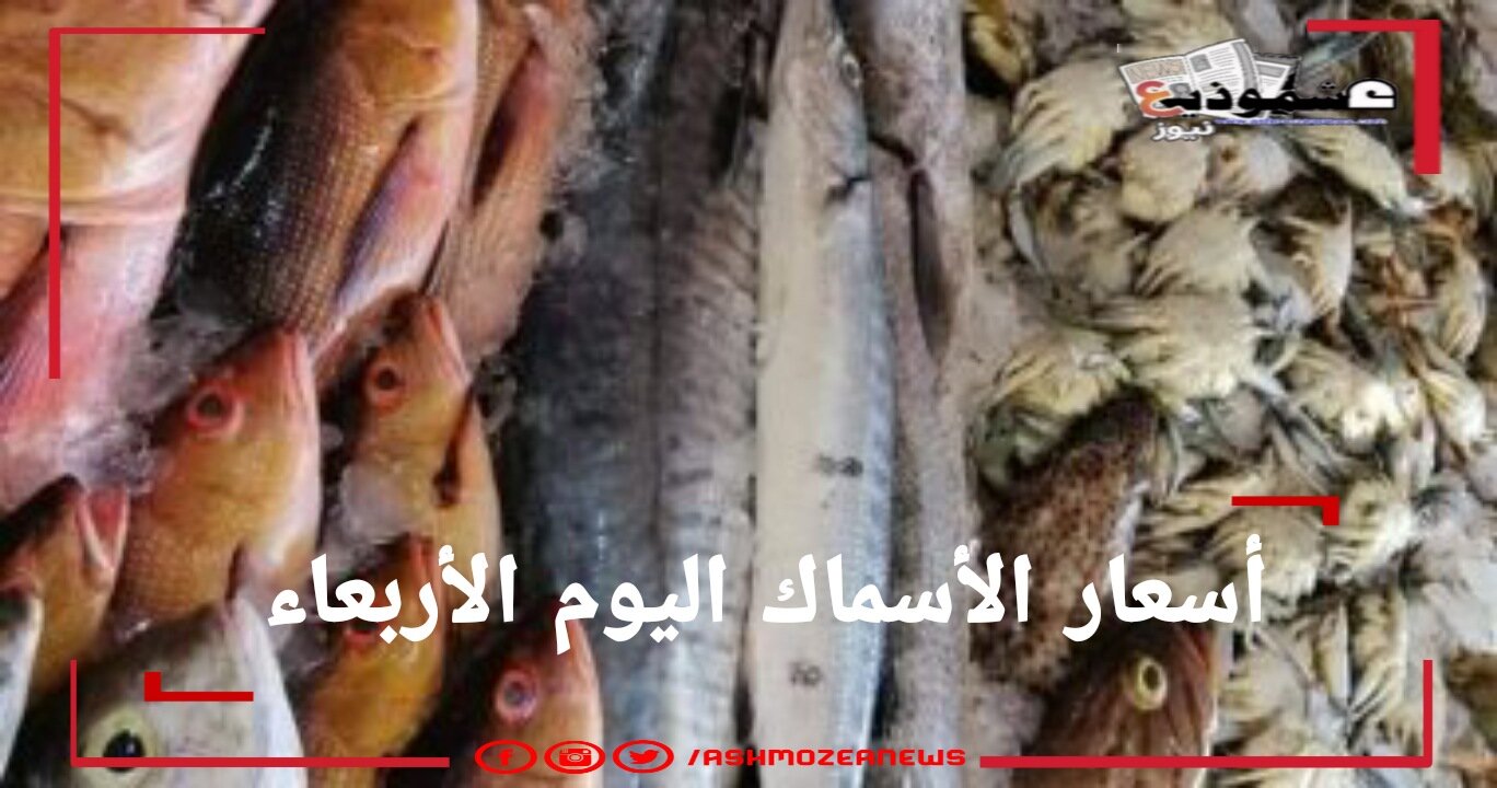 استقرار أسعار الأسماك اليوم الأربعاء 31 مارس بسوق العبور.