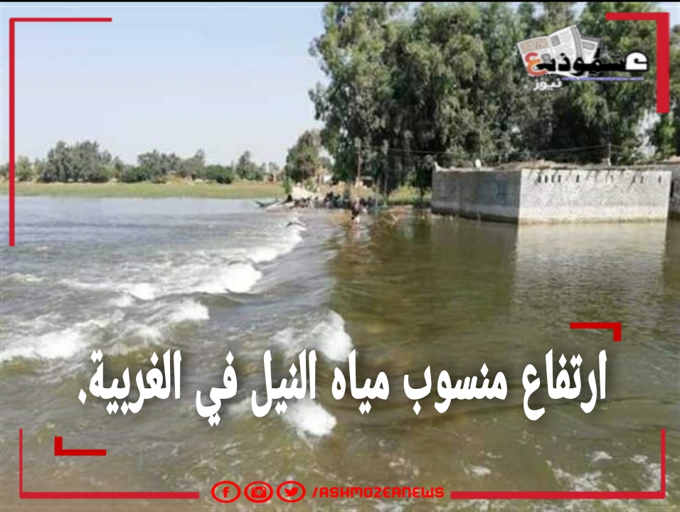 ارتفاع منسوب مياه النيل في الغربية.