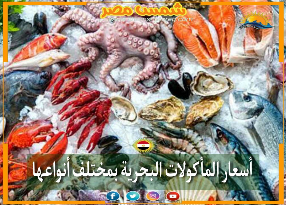 |شمس مصر|.. "موضع اهتمام للجميع"، شاهد أسعار المأكولات البحرية اليوم