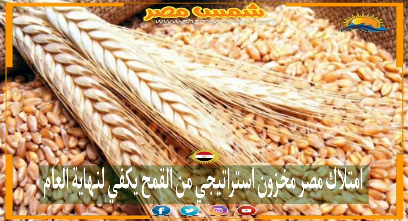 |شمس مصر|.. امتلاك مصر مخزون استراتيجي من القمح يكفي لنهاية العام
